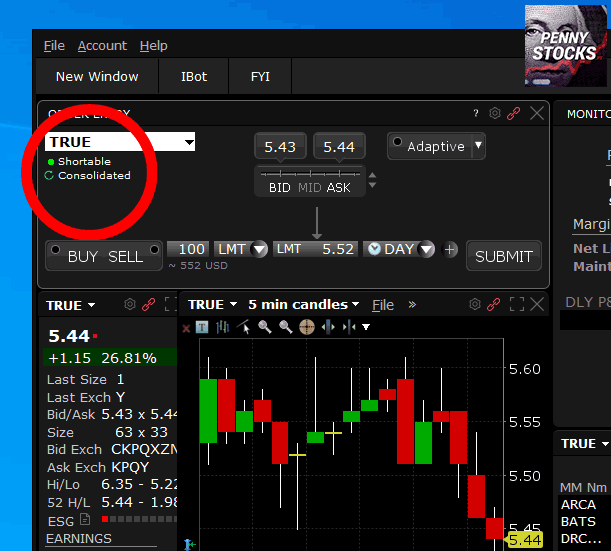 Shortar ações na plataforma TWS da Interactive Brokers